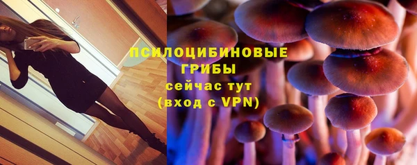 a pvp Переславль-Залесский