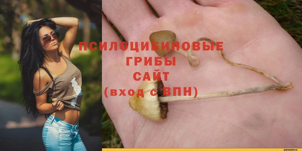 каннабис Алзамай