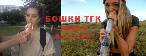 дживик Алексеевка