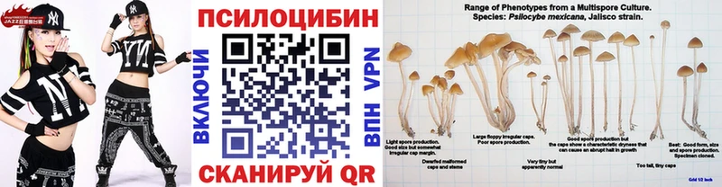 Псилоцибиновые грибы Magic Shrooms  Петров Вал 